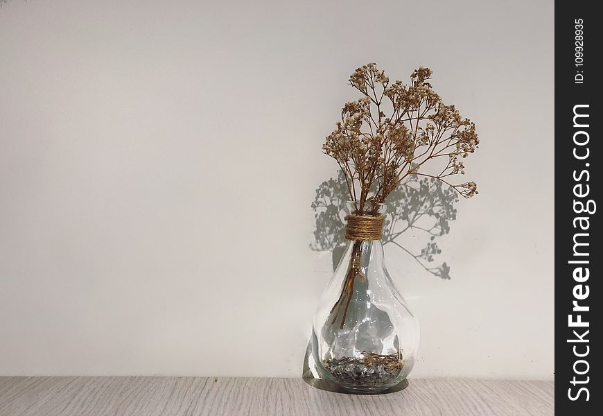 Dried Leaves on Glass Vase Beside Concrete Wall