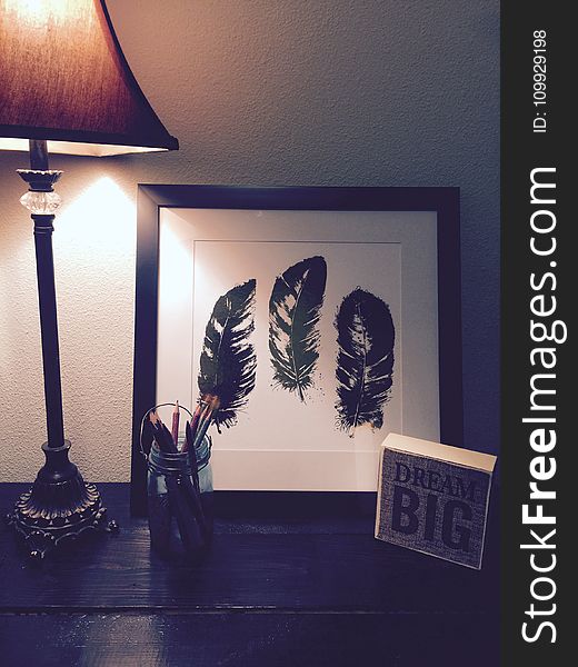 Black Feathers Painting Beside Brown and Black Lamp Shade