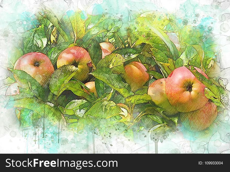 Fruit, Apple, Watercolor Paint, Local Food
