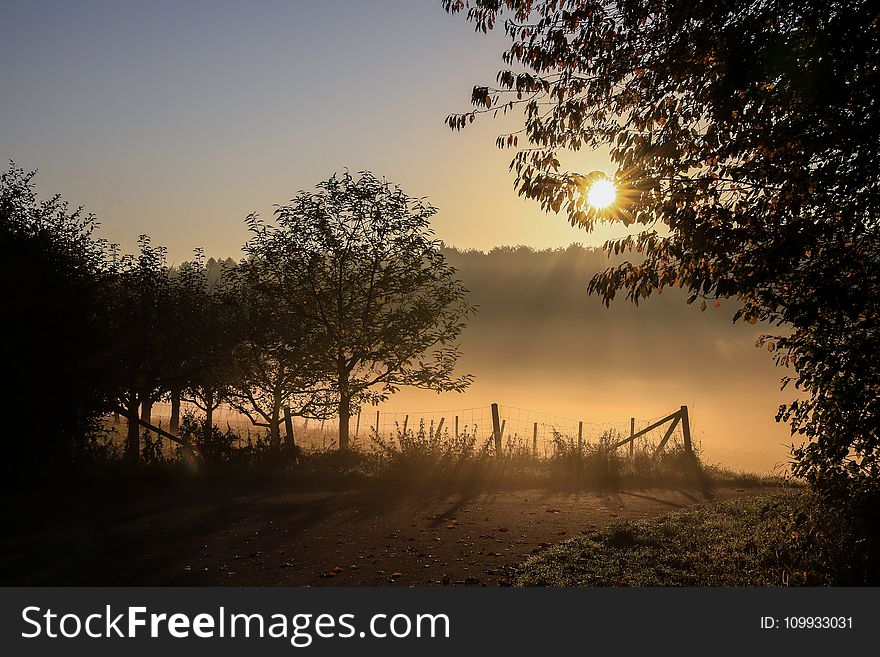 Sunrise, Sky, Morning, Dawn