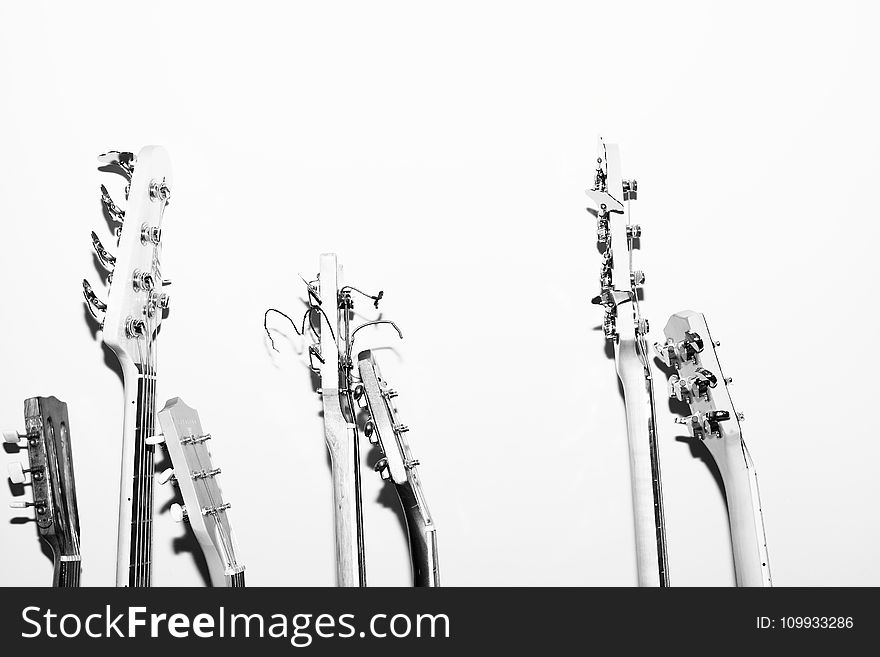 Black And White, Monochrome Photography, Monochrome, Branch