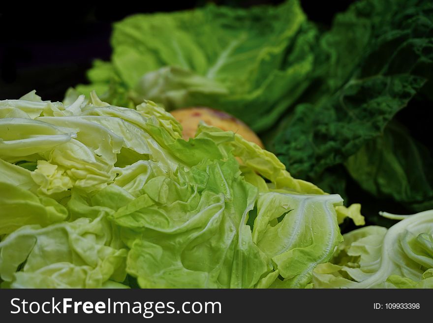 Vegetable, Leaf Vegetable, Cabbage, Romaine Lettuce