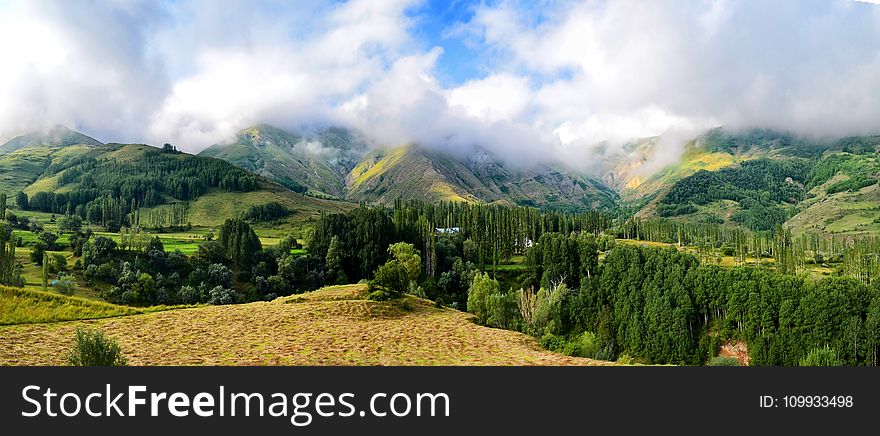 Highland, Vegetation, Mountainous Landforms, Mount Scenery
