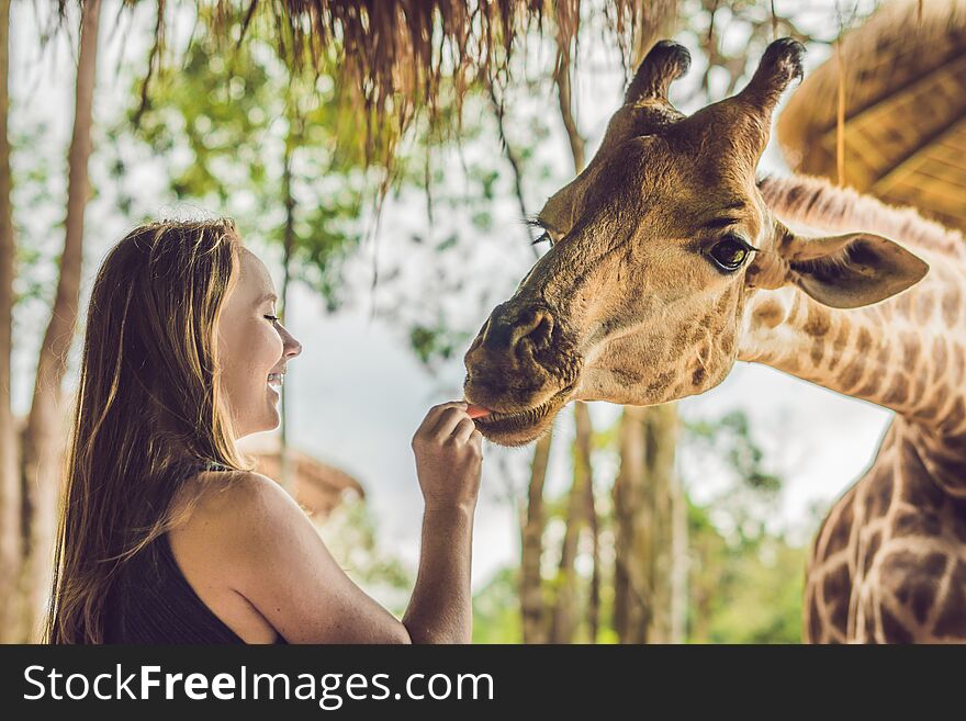 Happy young woman watching and feeding giraffe in zoo. Happy you