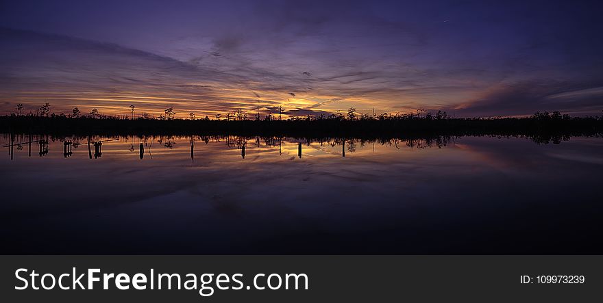 Silhouette of Trees at Sunset