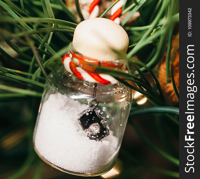 Half-filled Clear Glass Ornament With Miniature Camera