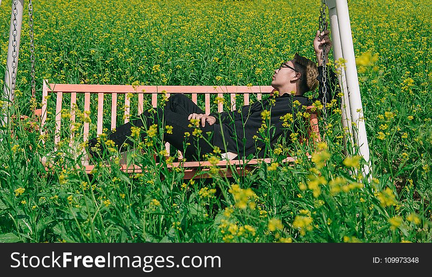 Man in White and Brown Canopy Swing Surrounded With Yellow Petal Flower