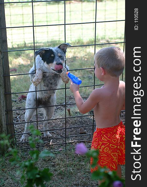 Little boy squirting his dog with a water gun. Little boy squirting his dog with a water gun