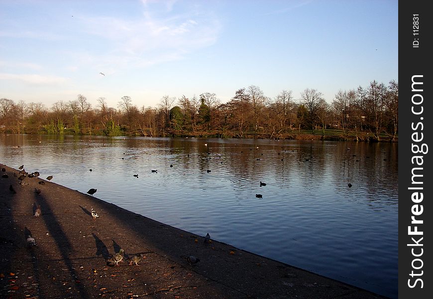 This is the lake in Valentines Park Ilford. This is the lake in Valentines Park Ilford.