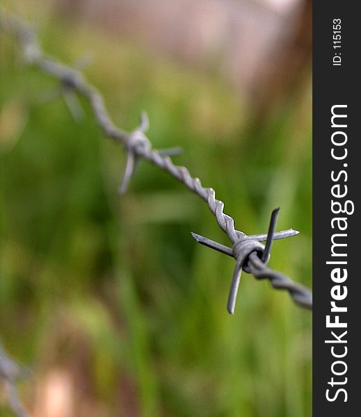 Macro shot of a barbed wire fence. Macro shot of a barbed wire fence