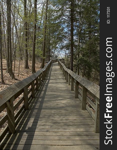 A boardwalk throuogh the woods leads the way keeping pedestrian traffic from damaging the fragile ecosystem of the forest. A boardwalk throuogh the woods leads the way keeping pedestrian traffic from damaging the fragile ecosystem of the forest.