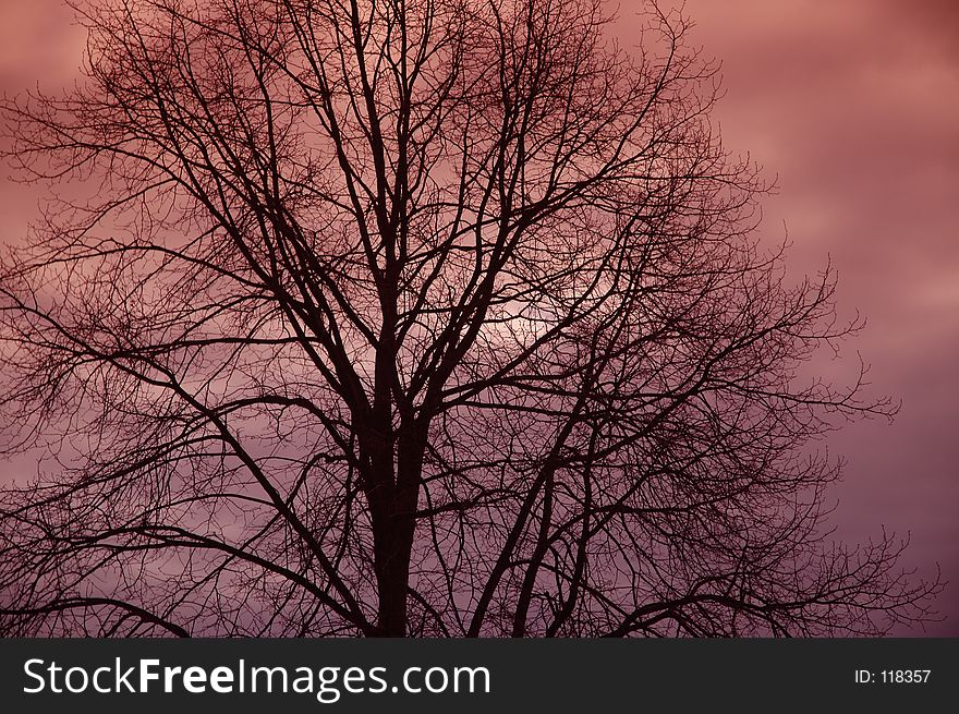 Colourful sunset. Colourful sunset