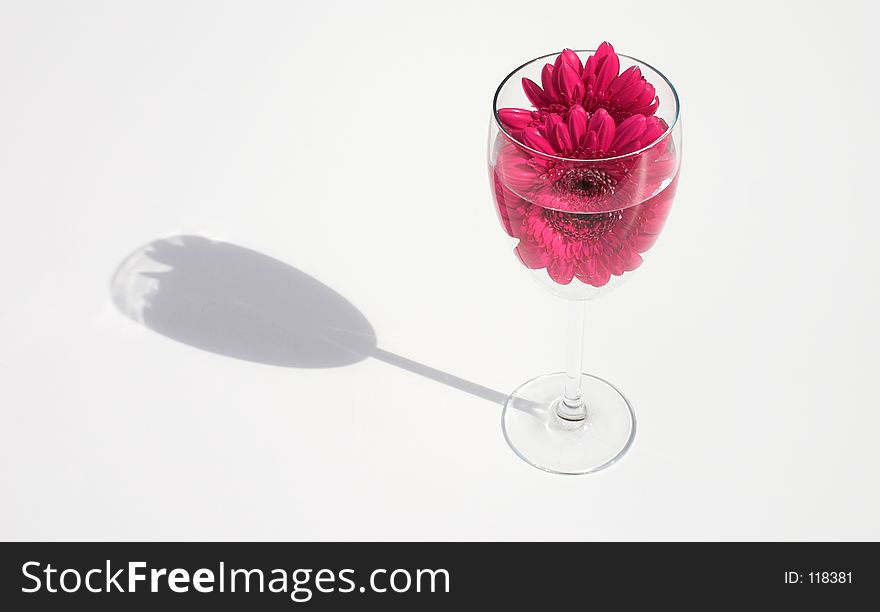 Red wine, like drinking flowers - concept shot