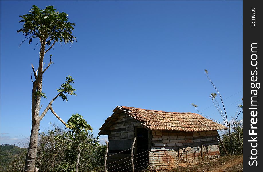 Hut and tree in Topices de Colliantes, Cuba