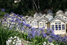 Beach Huts And Bluebells Royalty Free Stock Photo