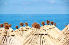Sea Sun Umbrellas Stock Image