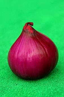 Red Onion Zoomed Stock Image Red Onion Zoomed Stock Image