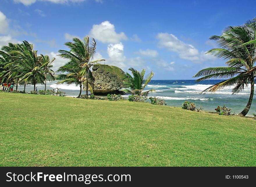 The beach at Bathsheba, Barbados. The beach at Bathsheba, Barbados