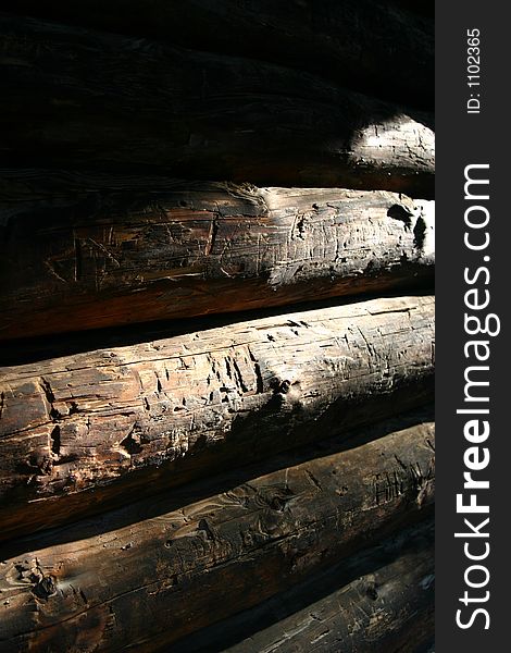 Log texture detail in sunlight