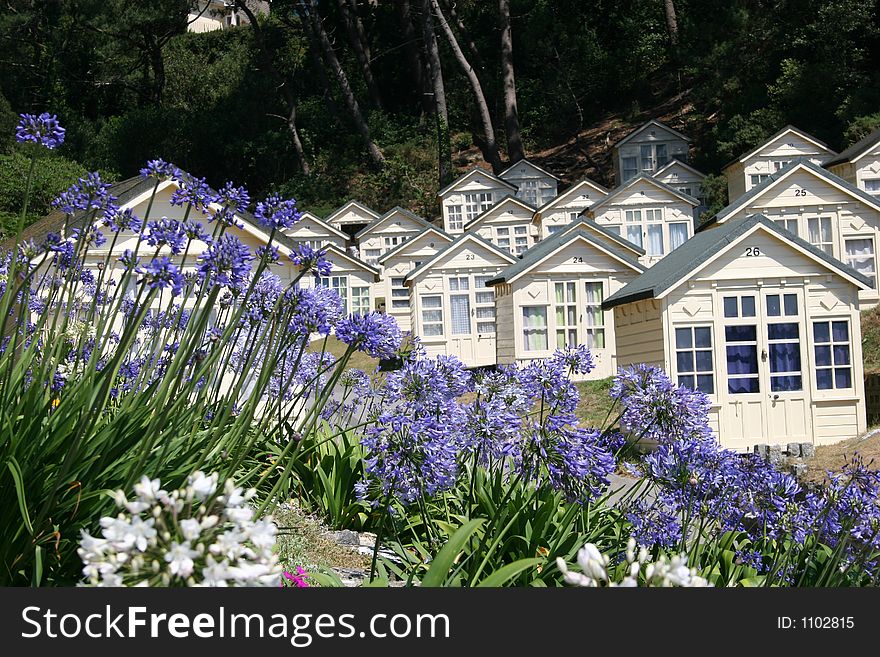 Beach huts and bluebells