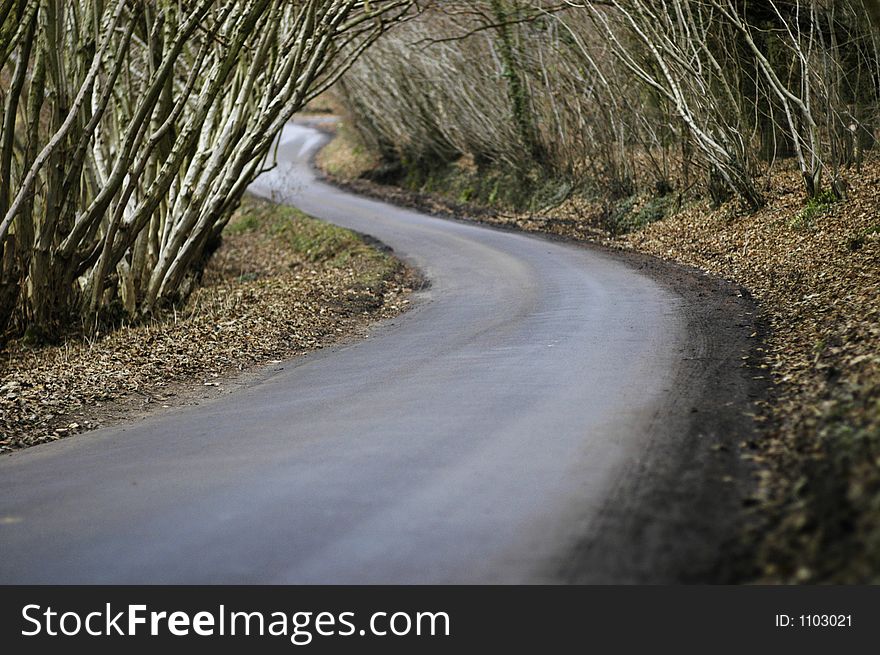 A dark counrty road winds it's way through bare winter trees. A dark counrty road winds it's way through bare winter trees