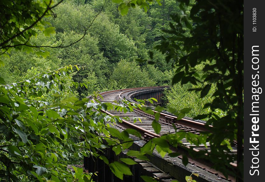 Railroad track curving into distance through trees. Railroad track curving into distance through trees