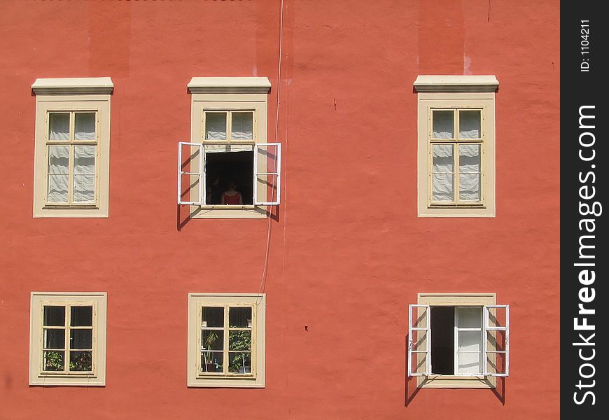 Castle Red Lhota - Detail