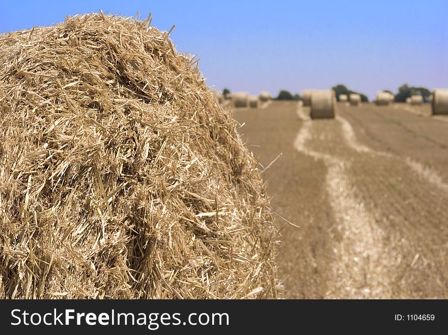 Bales of straw. Bales of straw