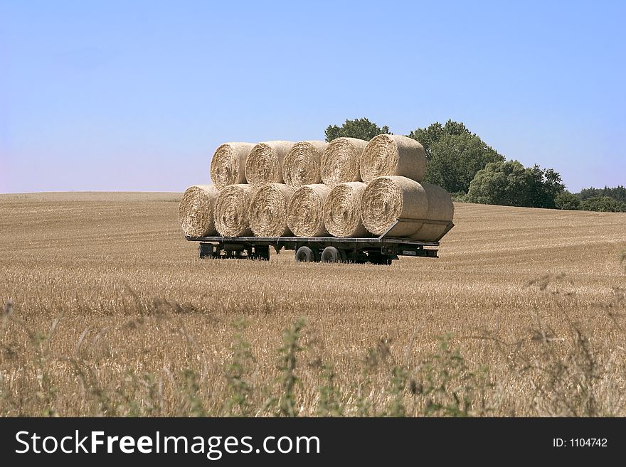Bales of straw. Bales of straw