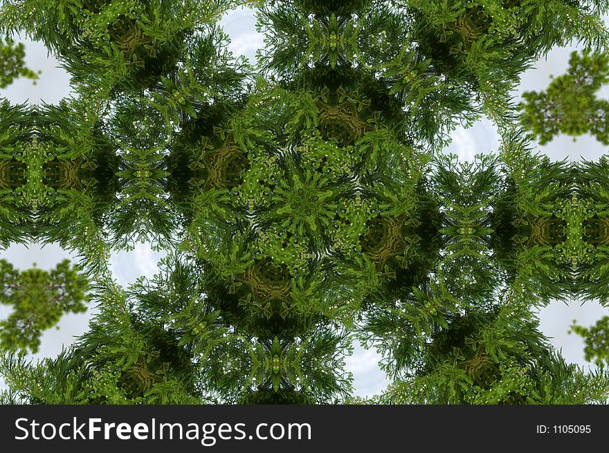 Electronically Generated from a photograph of some trees against a cloudy sky. Electronically Generated from a photograph of some trees against a cloudy sky