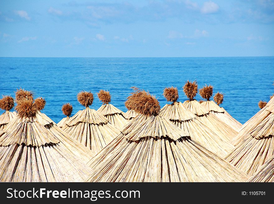Sea Sun Umbrellas