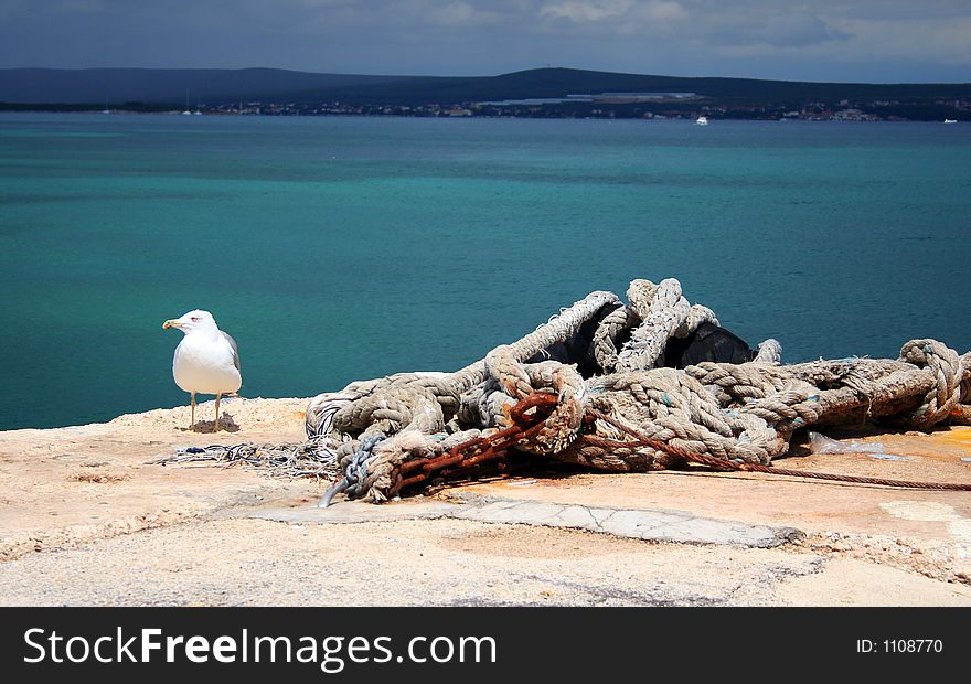 Seagull, old rope and chain by the adriatic sea. Seagull, old rope and chain by the adriatic sea.