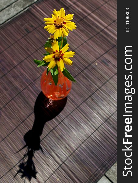 Yellow flowers on a garden table. Yellow flowers on a garden table.