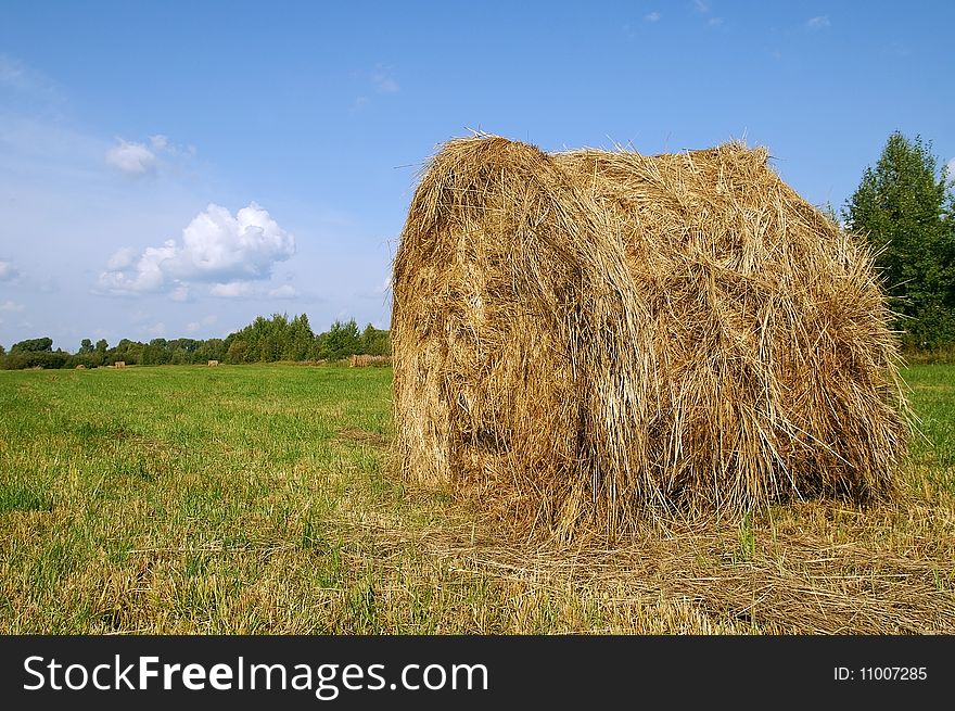 Hayrick on a meadow