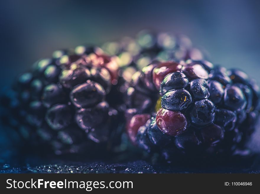 Selective Focus Photography of Purple Fruit