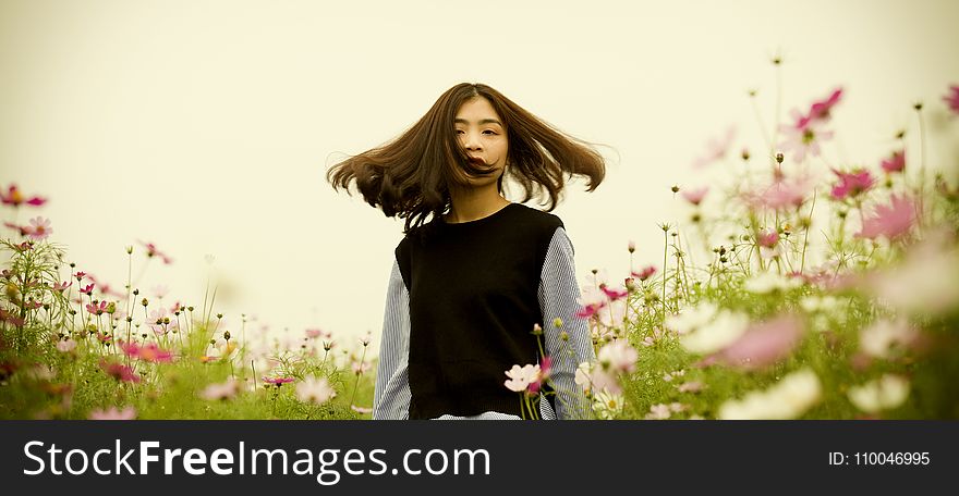 Girl on White and Pink Cosmos Flower Field Photography