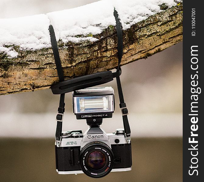 Black and Gray Canon Dslr Camera Hanging on Brown Tree Trunk With Snow