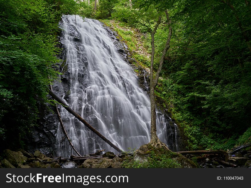 Waterfalls in Between Green Trees