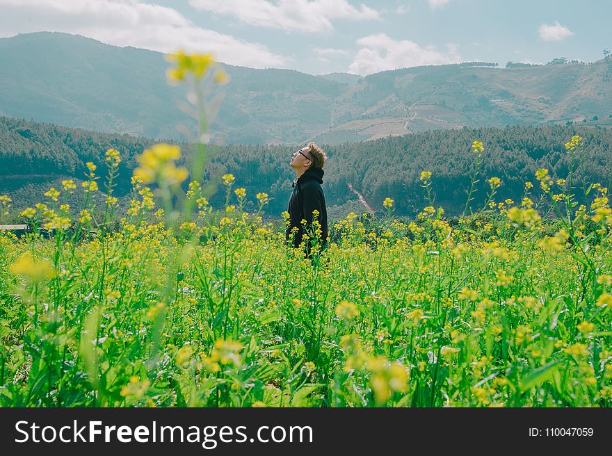 Man Standing On Yellow Bed Of Flowers