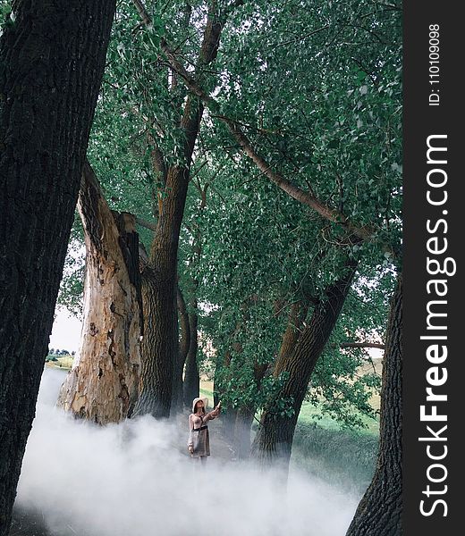 Woman In Dress Surrounded By White Smoke And Trees