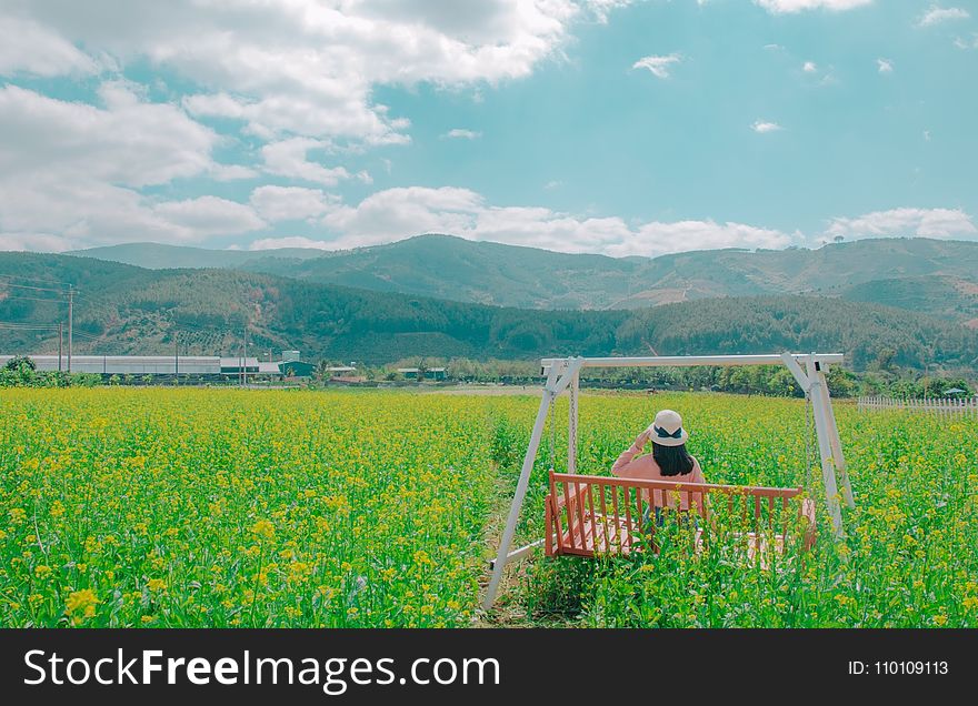 Woman Sits on Brown Wooden Swing Bench on Yellow Petaled Flower Field