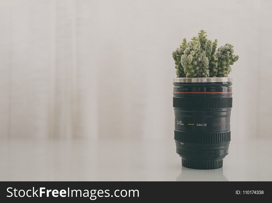Green Leaf Plant in Black Camera Zoom Lens Plant Pot Screenshot