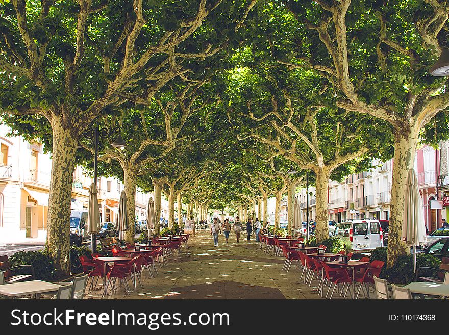 Red Wooden Table With Chairs on Street