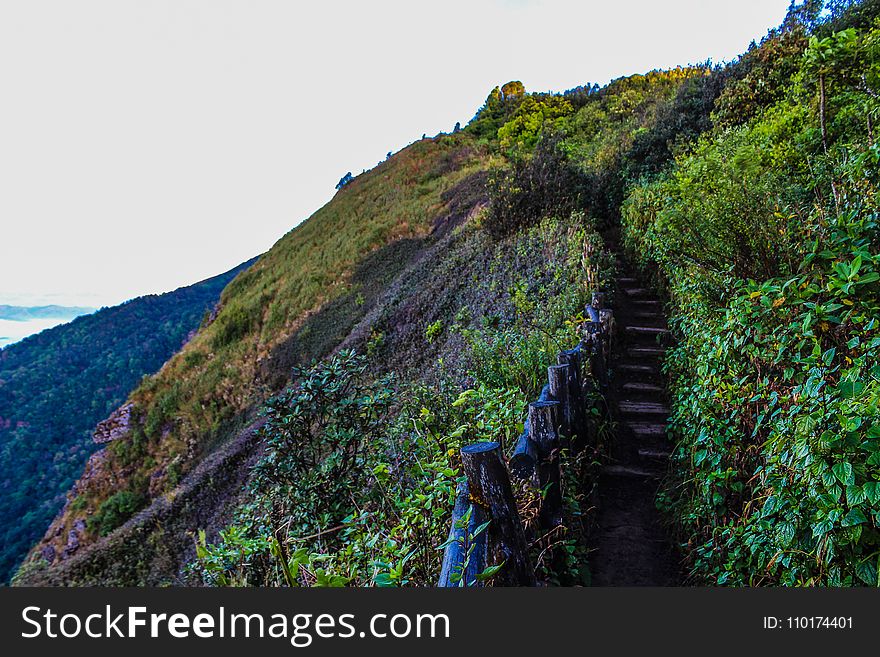 Pathway On Mountain With Blue Wooden Handrails At Daytime