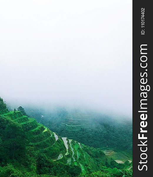 Green Rice Terraces With Foggy Weather