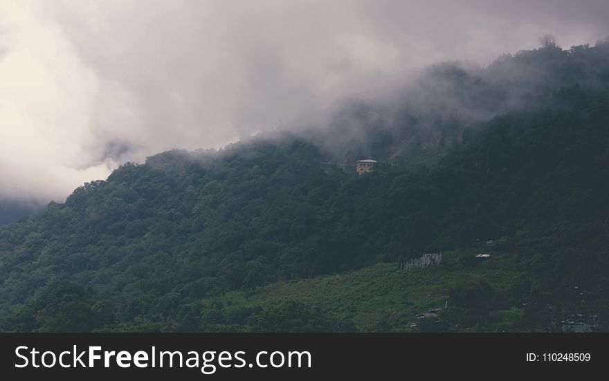 Aerial Photography of Forest With Foggy Clouds