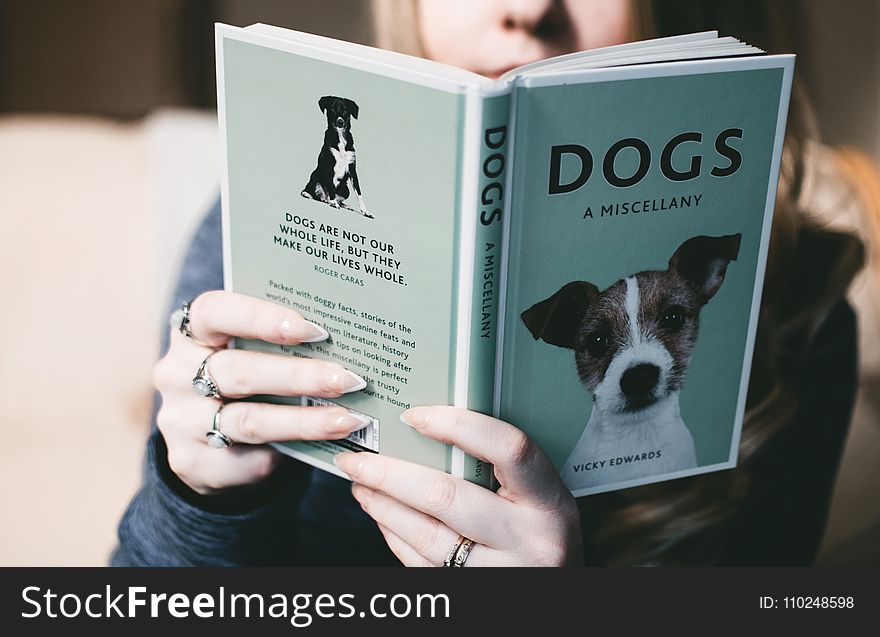 Woman Holding Dogs a Miscellany Book
