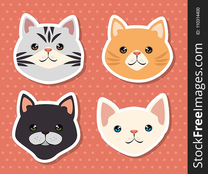 Cute cats pets friendly vector illustration design