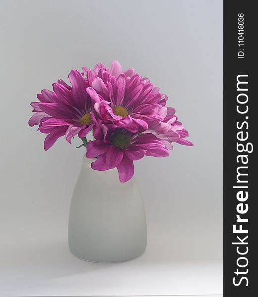 Pink Flowers on White Vase