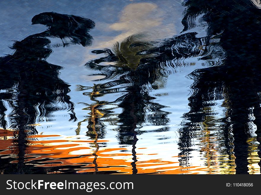 Reflection of Trees on Ripple Water